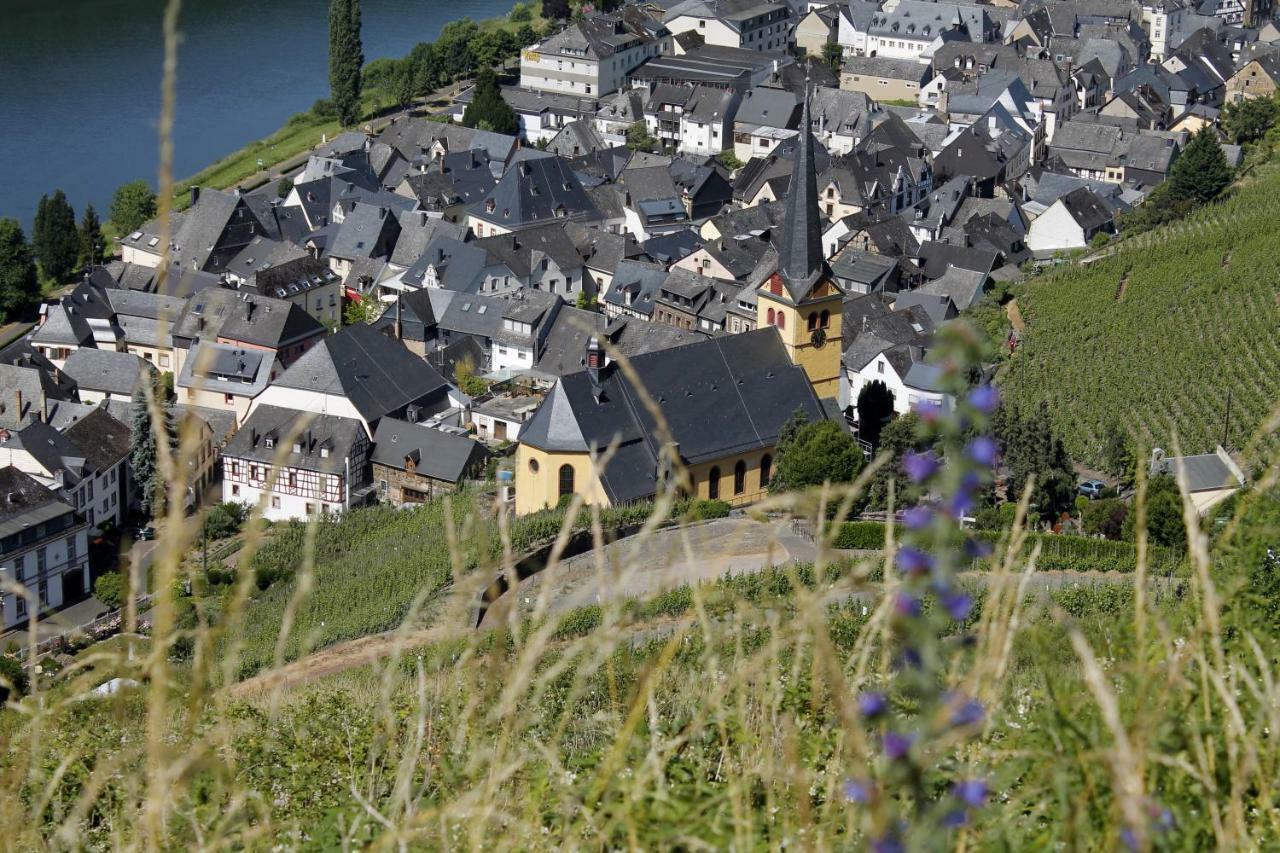 Ferienhaus Moselblick Mit Kostenfreien Oepnv-Ticket Ürzig Exterior foto